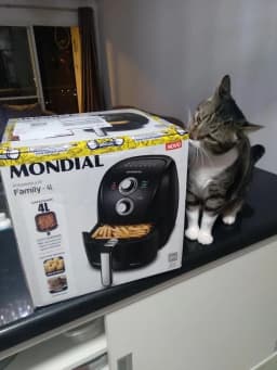 Air fryer com pão de queijo